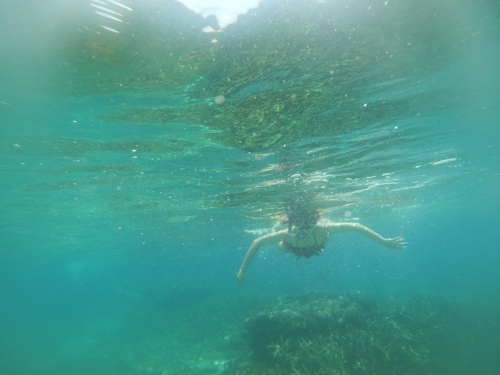 Lặn ngắm san hô ở El Nido